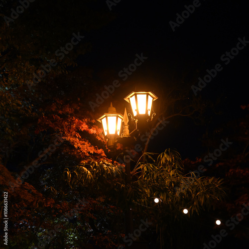 伊香保温泉、石段の街灯 photo