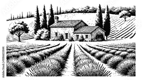 lavender field engraving black and white outline