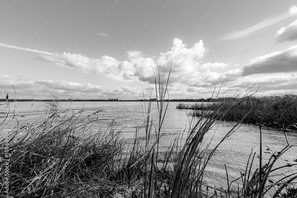 Beach bank on the Bodden side Fischland Darß
