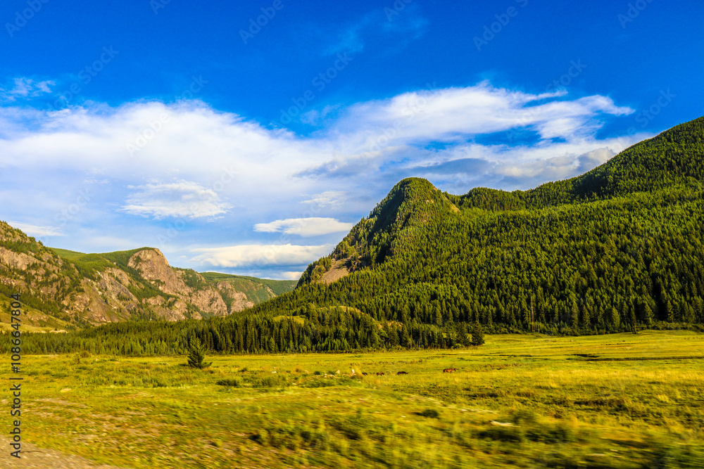 Nature. Altai Mountains Nature. Altai Mountains