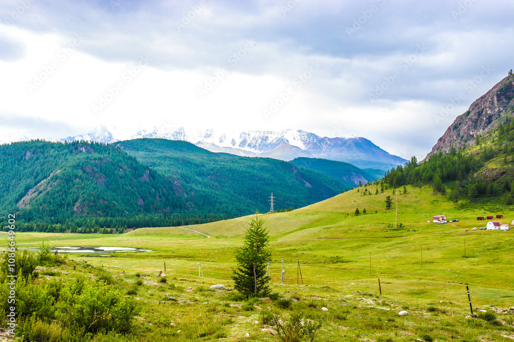 Nature. Altai Mountains Nature. Altai Mountains