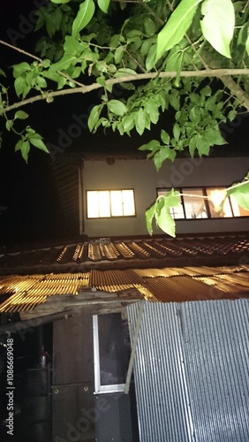 362)Japanese yellow hornet nest under the eaves of the second floor(Photo taken at 19:41. on august 19, 2015) vespa simillima xanthoptera photo