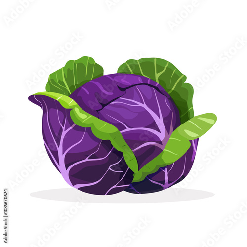 A Simple flat design 2D icon purple and green cabbage isolated on a white background, vector, flat design, animation design, vector, flat design, animation design, simple flat 2D icon, minimalist 
