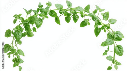 Set of tropical leaves isolated on white background. Tropical leaves exotic foliage.