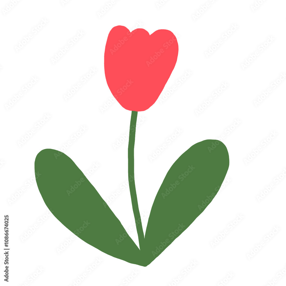 red tulip red tulip