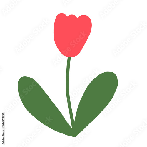 red tulip