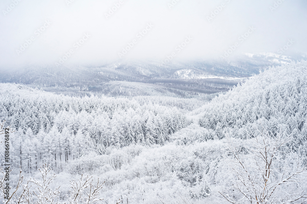 Snow Scenery of Daegwallyeong, Gangwon-do, Korea Snow Scenery of Daegwallyeong, Gangwon-do, Korea