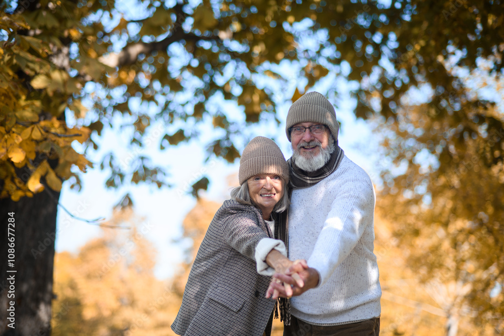Portrait of beautiful senior couple during walk in autumn park, looking at camera and smiling. Portrait of beautiful senior couple during walk in autumn park, looking at camera and smiling.