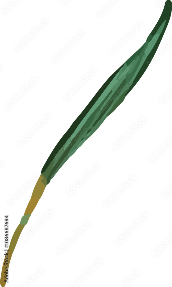 colorful illustration of flower petals and leaves clip art for background, wallpaper design colorful illustration of flower petals and leaves clip art for background, wallpaper design