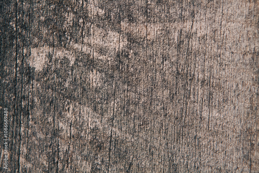 old wood texture. wooden background. old wood texture. wooden background.