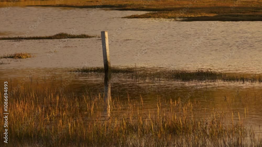 Boat mooring post in the middle of golden hour lake scene 48K stock footage Boat mooring post in the middle of golden hour lake scene 48K stock footage