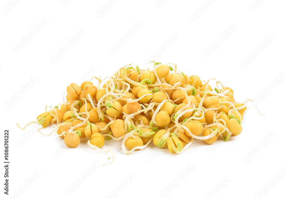 snow pea sprouts isolated on transparen png. snow pea sprouts isolated on transparen png.