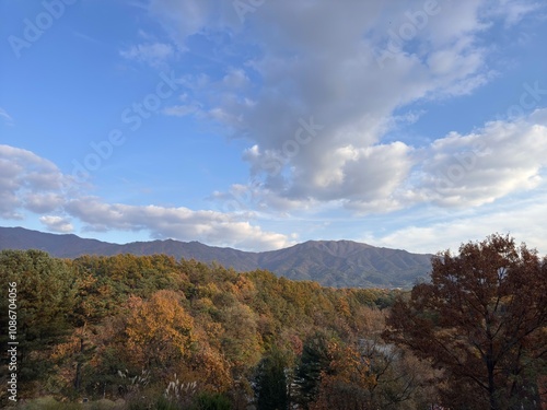 A clear and beautiful autumn sky.