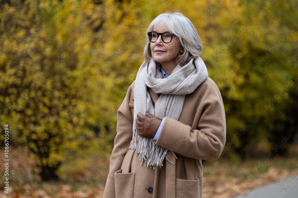 A senior woman enjoys a stroll in the park surrounded by vibrant autumn foliage wearing a cozy scarf and stylish coat A senior woman enjoys a stroll in the park surrounded by vibrant autumn foliage wearing a cozy scarf and stylish coat