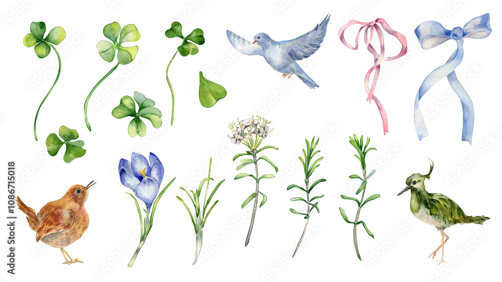 Floral set for St Patrick day isolated. Clover, labrador tea and crocus watercolor illustration hand drawn. Painted birds, ribbon bow and flowers. Spring flora, lucky symbol shamrock for design. Floral set for St Patrick day isolated. Clover, labrador tea and crocus watercolor illustration hand drawn. Painted birds, ribbon bow and flowers. Spring flora, lucky symbol shamrock for design.