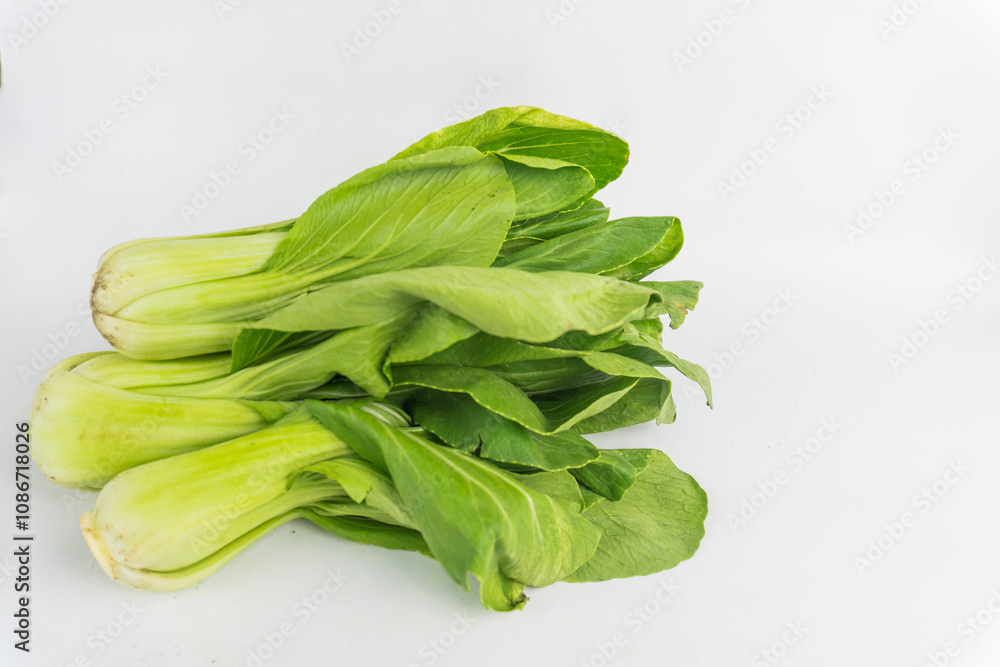 Fresh abunch bok choy or chinese cabbage with soil attached isolated on white background . Fresh abunch bok choy or chinese cabbage with soil attached isolated on white background .
