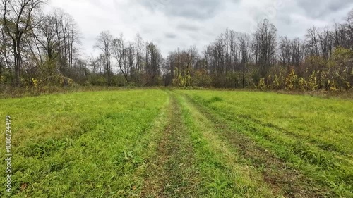 A serene journey on a winding dirt road through a lush field, framed by tall trees, captures the tranquility of nature and invites viewers to immerse in the vibrant greens and earthy road tones