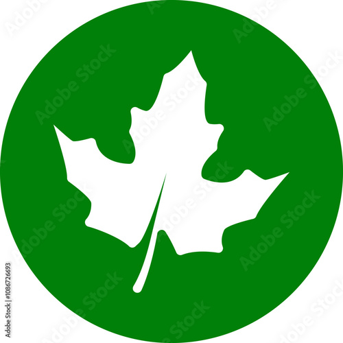 Leaf icon. Set of green leafs icons. Eco, bio, natural, vegan icon. Leaves of trees and plants. Leaves icon Collection. Vector illustration