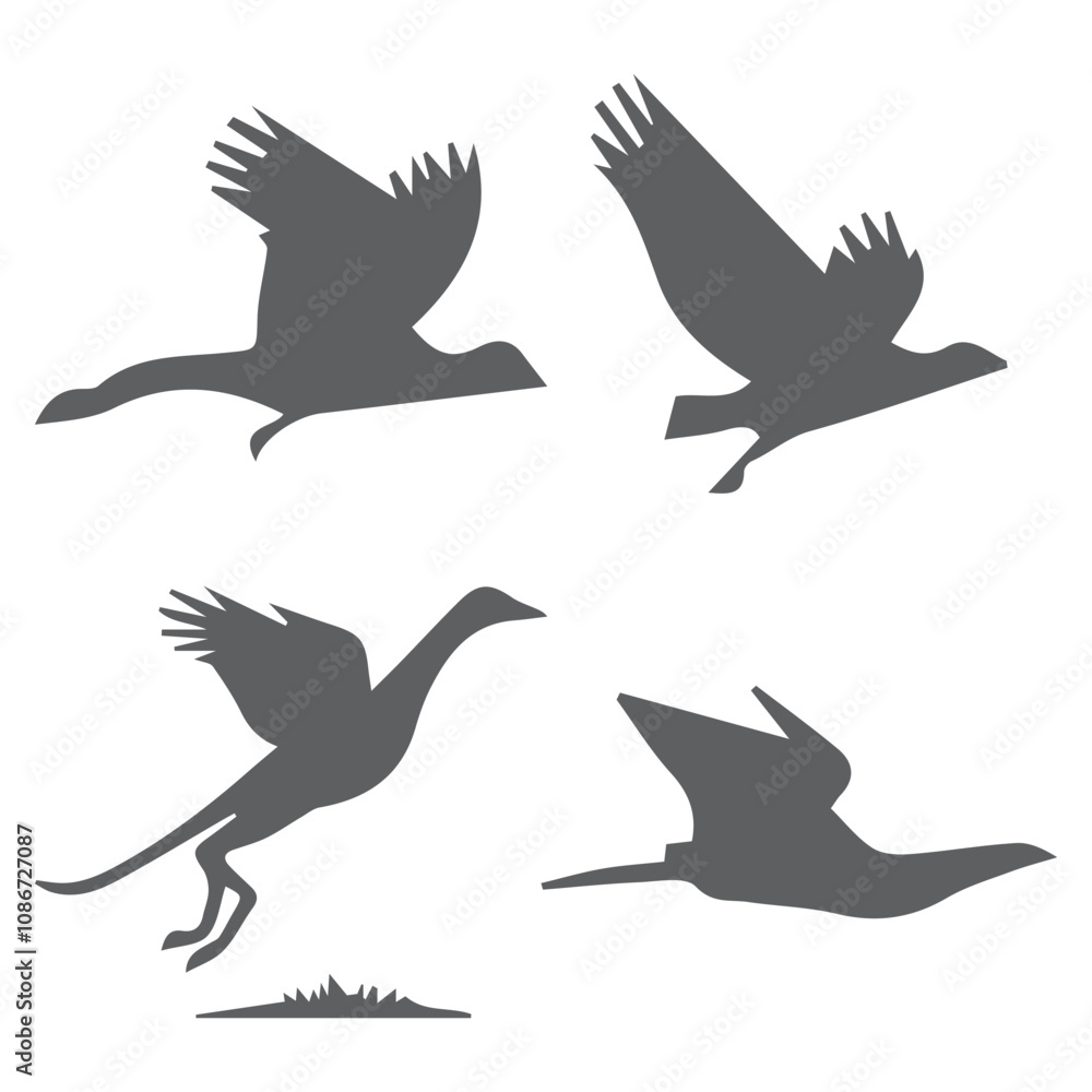 Obraz premium set of silhouettes of birds