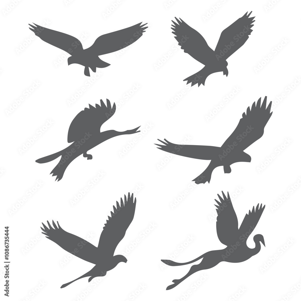 set of birds set of birds