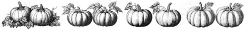 This black and white image depicts two pumpkins evoking a vintage style that's perfect for autumn, harvest, or Halloween, and is created by generative ai and sketch engraving.