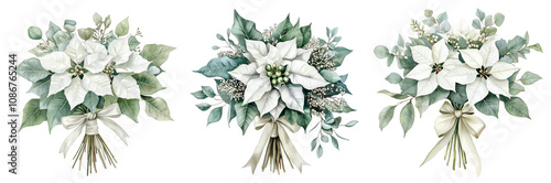  Set of bouquet of white poinsettia, tied with ribbon, eucalyptus, gum leaves, sage green, watercolor, isolated on a transparent background