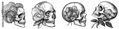 A black and white illustration of a human skull surrounded by mushrooms. A combination of natural elements and surreal imagery. Illustration generated by computer. Scratch board imitation.