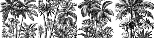This seamless pattern is created by hand drawing a linear botanical illustration with tropical trees on a white background.