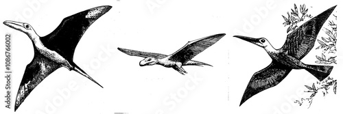 The Pteranodon, a dinosaur icon, is portrayed in a cute cartoon illustration