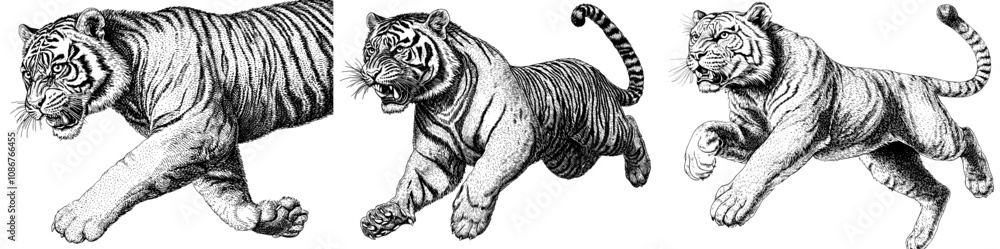 An engraving style sketch engraving generative AI raster illustration of a fierce leaping tiger tattoo with an open mouth. Scratch board imitation. An engraving style sketch engraving generative AI raster illustration of a fierce leaping tiger tattoo with an open mouth. Scratch board imitation.