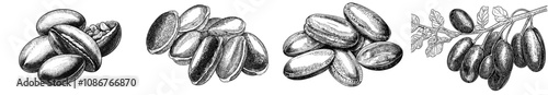 Flat modern illustration of jelly beans and gummy candy samples. Sugar-coated gums, sweets with glazed sugary gel. Fruit-flavored gelatin snacks, confectionery.