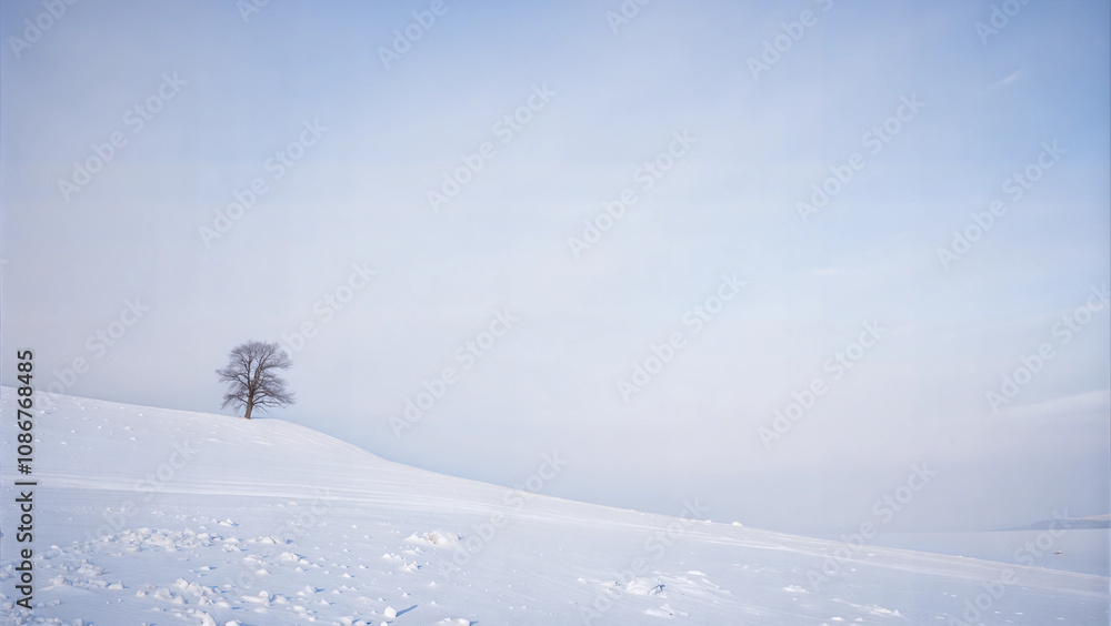 Lonely tree on a snowy hill with a minimalistic atmosphere and soft light creating a serene setting with copy space Lonely tree on a snowy hill with a minimalistic atmosphere and soft light creating a serene setting with copy space
