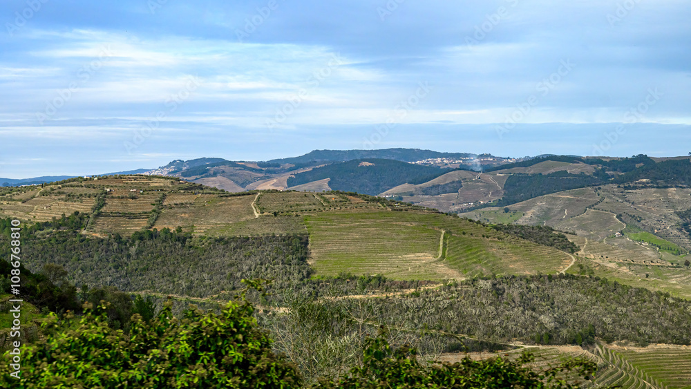Naklejka premium Douro Valley, a famous place and travel destination in Portugal