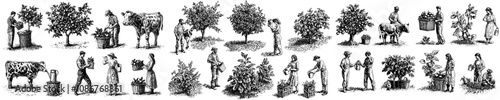 In a perfect isometric field, farmers collect harvests, fruits, and vegetables. Farmers and workers with cows and chickens, farm animals, all in a flawless modern scene.