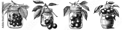 Preserved marmalade, seasonal spread. Flat modern illustration isolated on white background. Jam in a glass jar. Cranberry and cherry confiture.