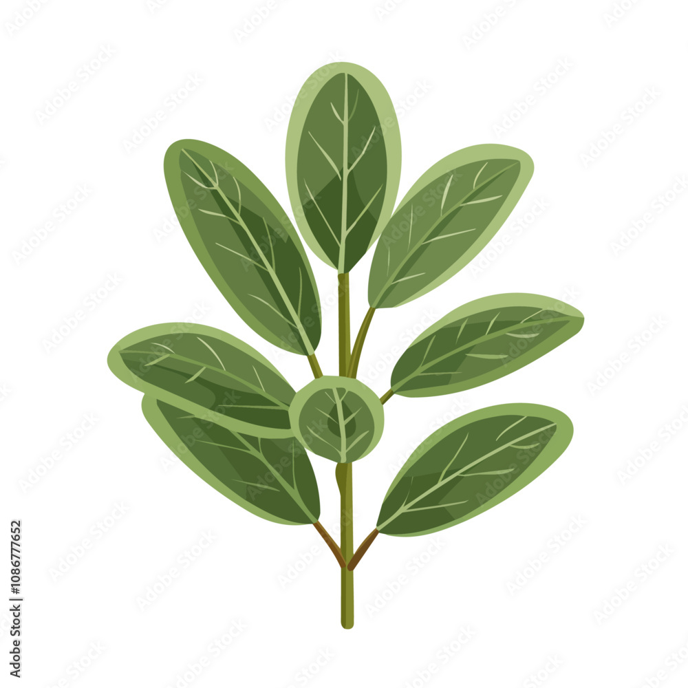 Simple flat 2D icon sage branch isolated on a transparent background, vector, flat design, animation design, vector, flat design, animation design, simple illustration, minimalist design Simple flat 2D icon sage branch isolated on a transparent background, vector, flat design, animation design, vector, flat design, animation design, simple illustration, minimalist design