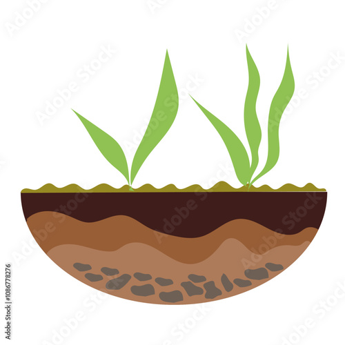 Foto Soil layer, underground surface.