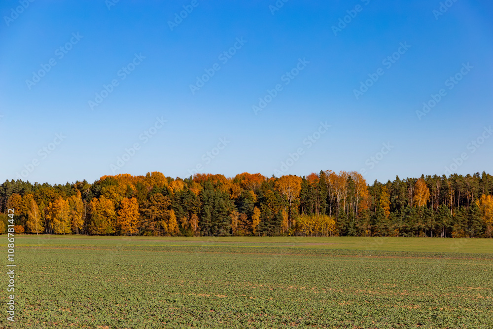 An autumn landscape with fields and forests in Central Europe.