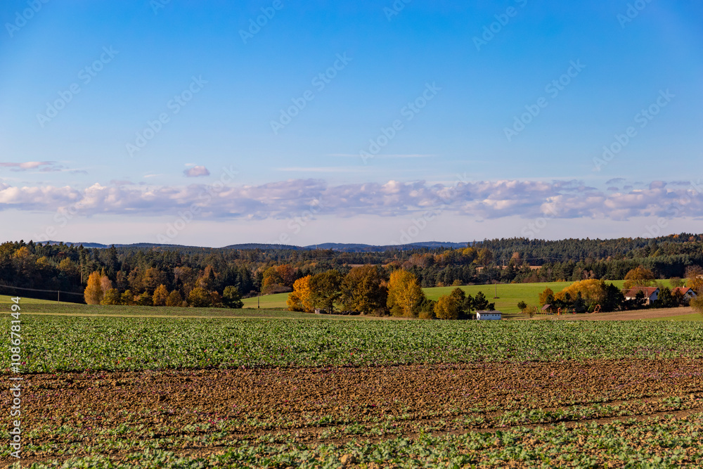 An autumn landscape with fields and forests in Central Europe.