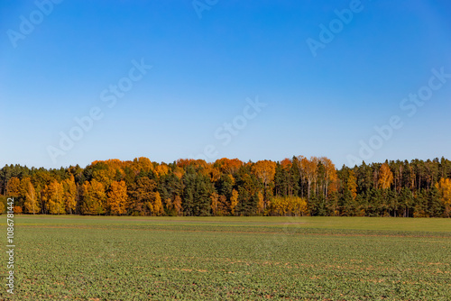 Obraz na płótnie An autumn landscape with fields and forests in Central Europe. w salonie