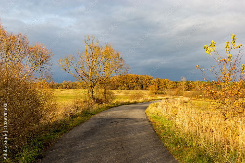 An asphalt road through autumn fields leading towards a forest. Late autumn in the Czech Republic.