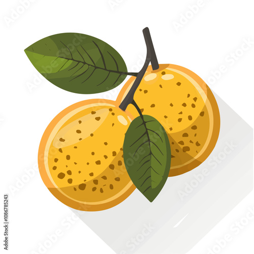 Simple flat 2D icon sapodilla isolated on a transparent background, vector, flat design, animation design, vector, flat design, animation