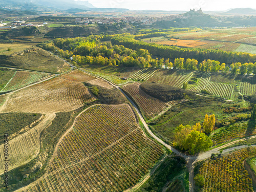 A bird's-eye view depicting vineyards interwoven with winding paths, offering a unique perspective of the lush, cultivated landscape situated in a vibrant valley.