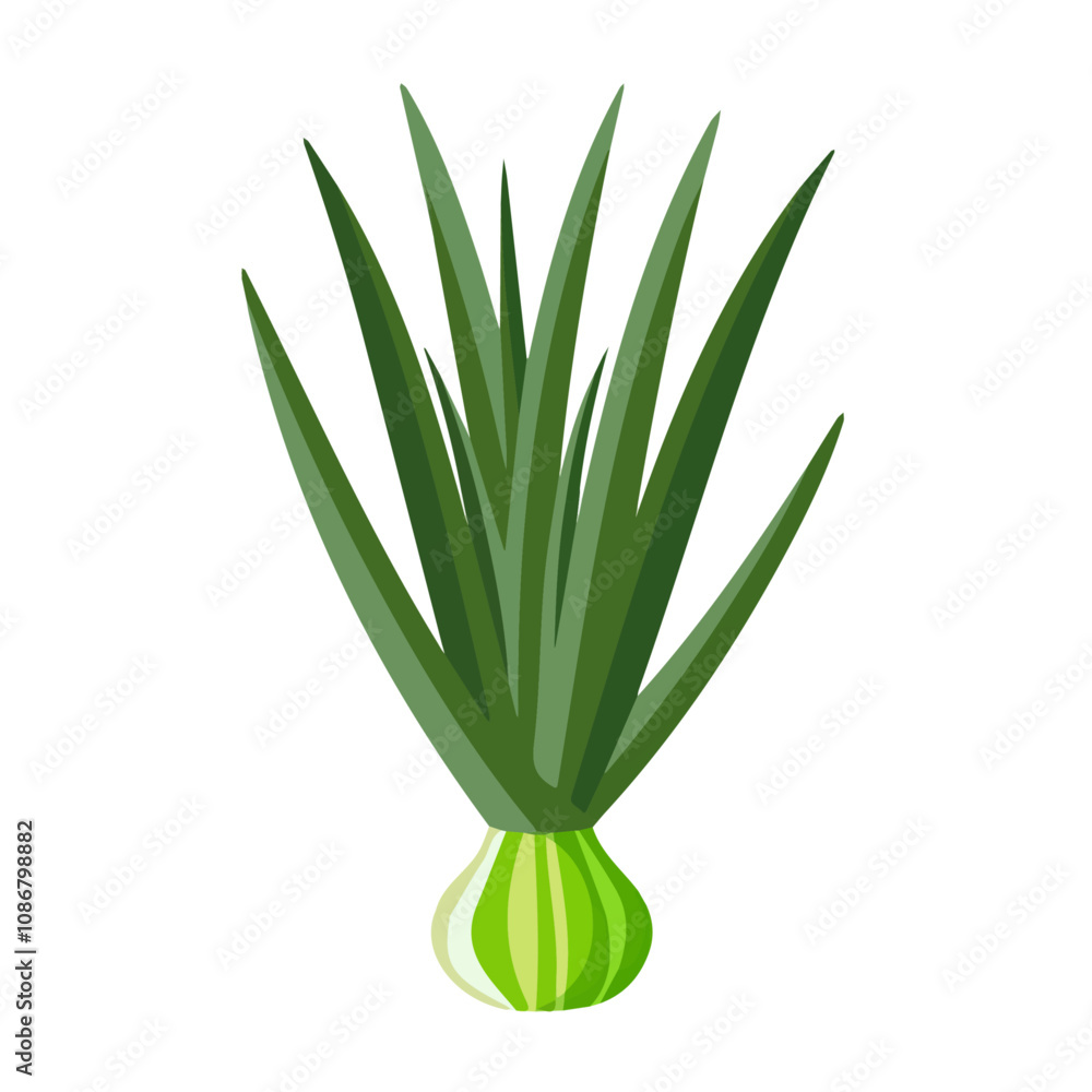 Obraz premium Illustration of Simple flat 2D icon scallion green onion isolated on a transparent background, vector, flat design, animation design, vector, flat design, animation