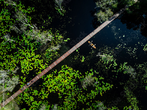 tourist to bike and kayaking to see nature of lotus swamp at red bridge Rayong botanic garden, top view. photo