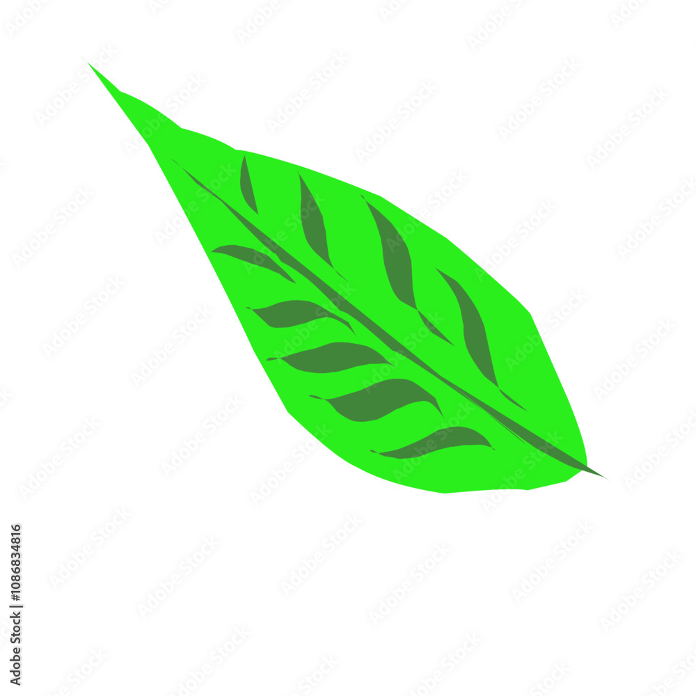 Leaf cartoon Leaf cartoon