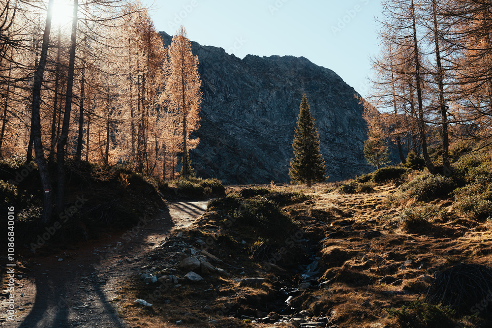 Beautiful autumn landscape in the mountains of Valmalenco in the northern Italy, with orange larches and foliage Beautiful autumn landscape in the mountains of Valmalenco in the northern Italy, with orange larches and foliage