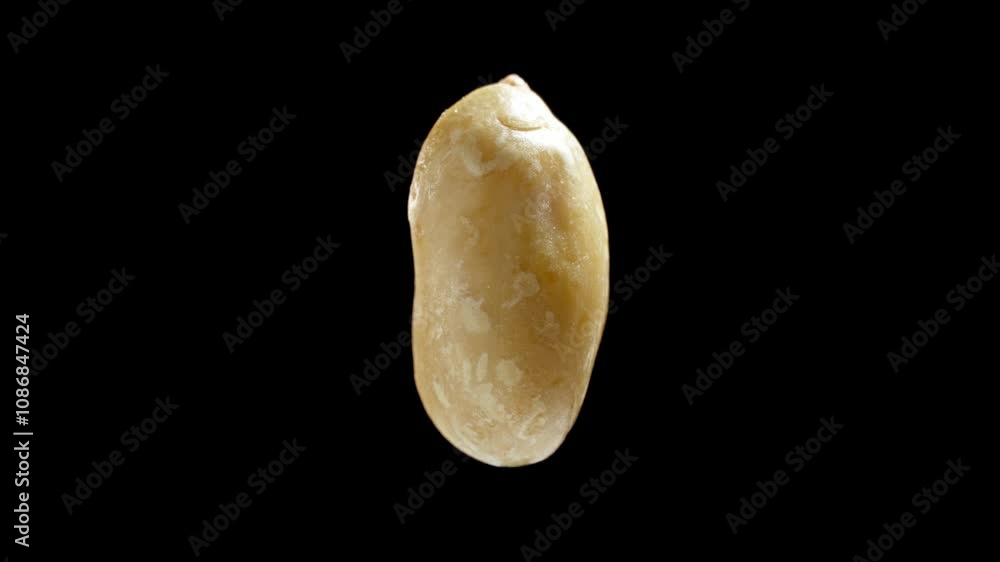 Peanut rotating on black background. Roasted peanut. Peeled nut. Tasty nut levitates in air. Healthy snack for vegan. Energy product. Close-up in 4K, UHD Peanut rotating on black background. Roasted peanut. Peeled nut. Tasty nut levitates in air. Healthy snack for vegan. Energy product. Close-up in 4K, UHD