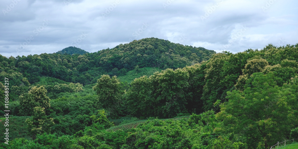 Aerial landscape view of greenery rainforest and hills by drone Aerial landscape view of greenery rainforest and hills by drone