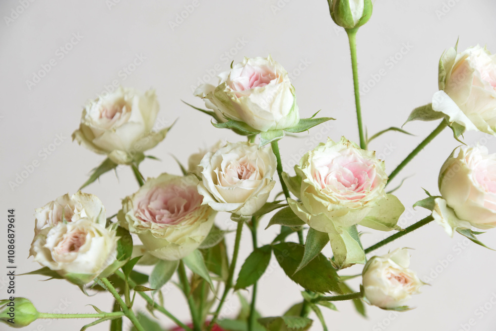 スイトロベリーミルフィーユ